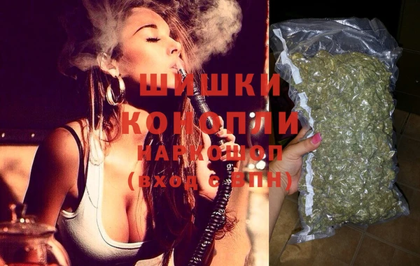шишки Нязепетровск