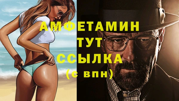 шишки Нязепетровск