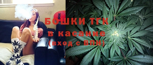 шишки Нязепетровск