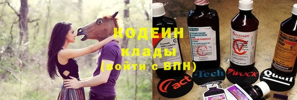 шишки Нязепетровск