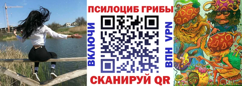 купить   Алексеевка  Галлюциногенные грибы мицелий 