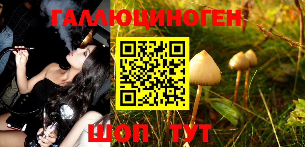 Галлюциногенные грибы GOLDEN TEACHER  Алексеевка  наркота  Галлюциногенные грибы мицелий 