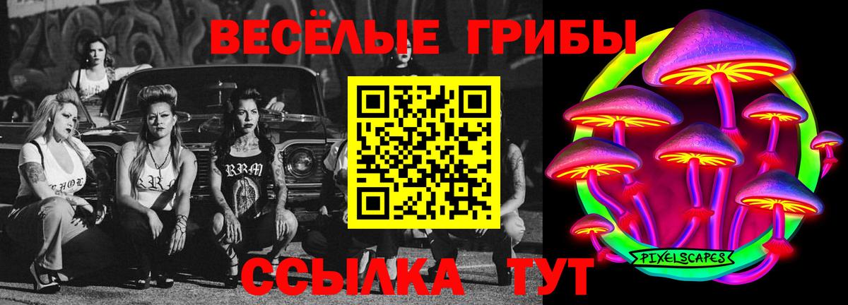 что такое наркотик  Вход с VPN  Галлюциногенные грибы Psilocybine cubensis  Алексеевка  Галлюциногенные грибы прущие грибы 
