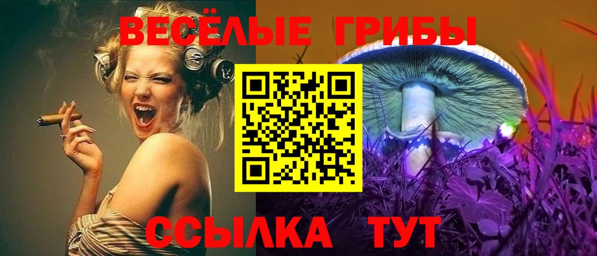 купить  цена  Вход с VPN  Алексеевка  Галлюциногенные грибы ЛСД 