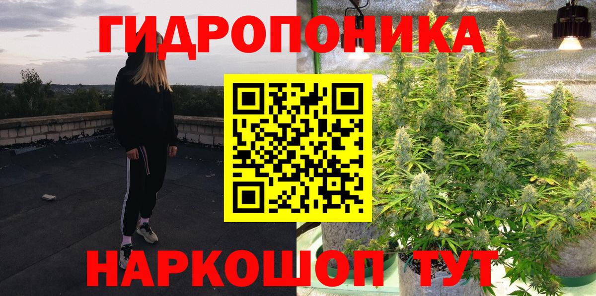 Марихуана гибрид  Бошки Шишки сатива  Шишки марихуана семена  Вход с VPN  Алексеевка  Канабис Ganja 
